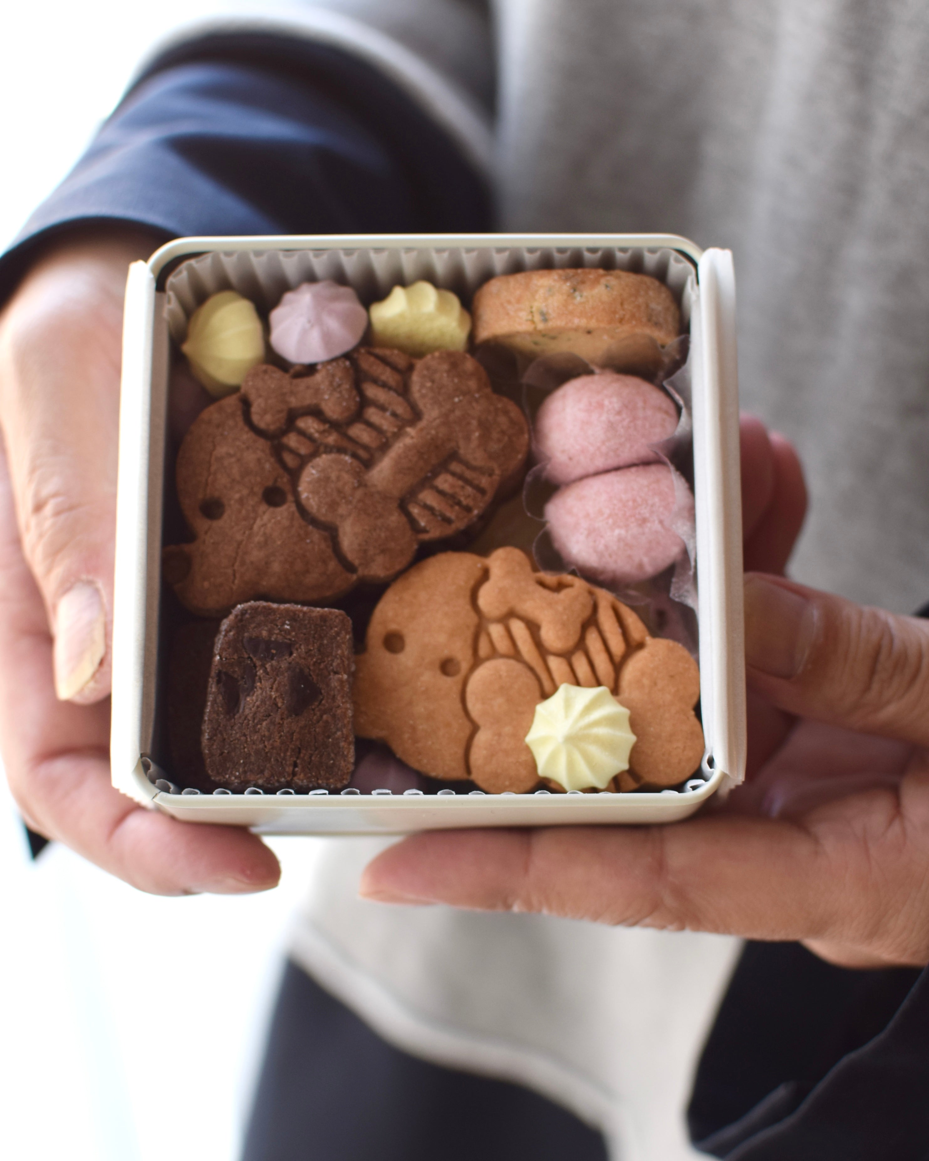 <WEB限定>inuinuクッキー缶