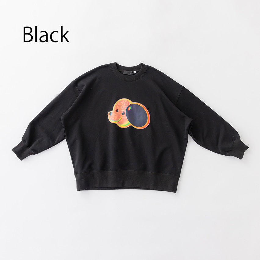 nt22-005/ドリームinuinuトレーナー