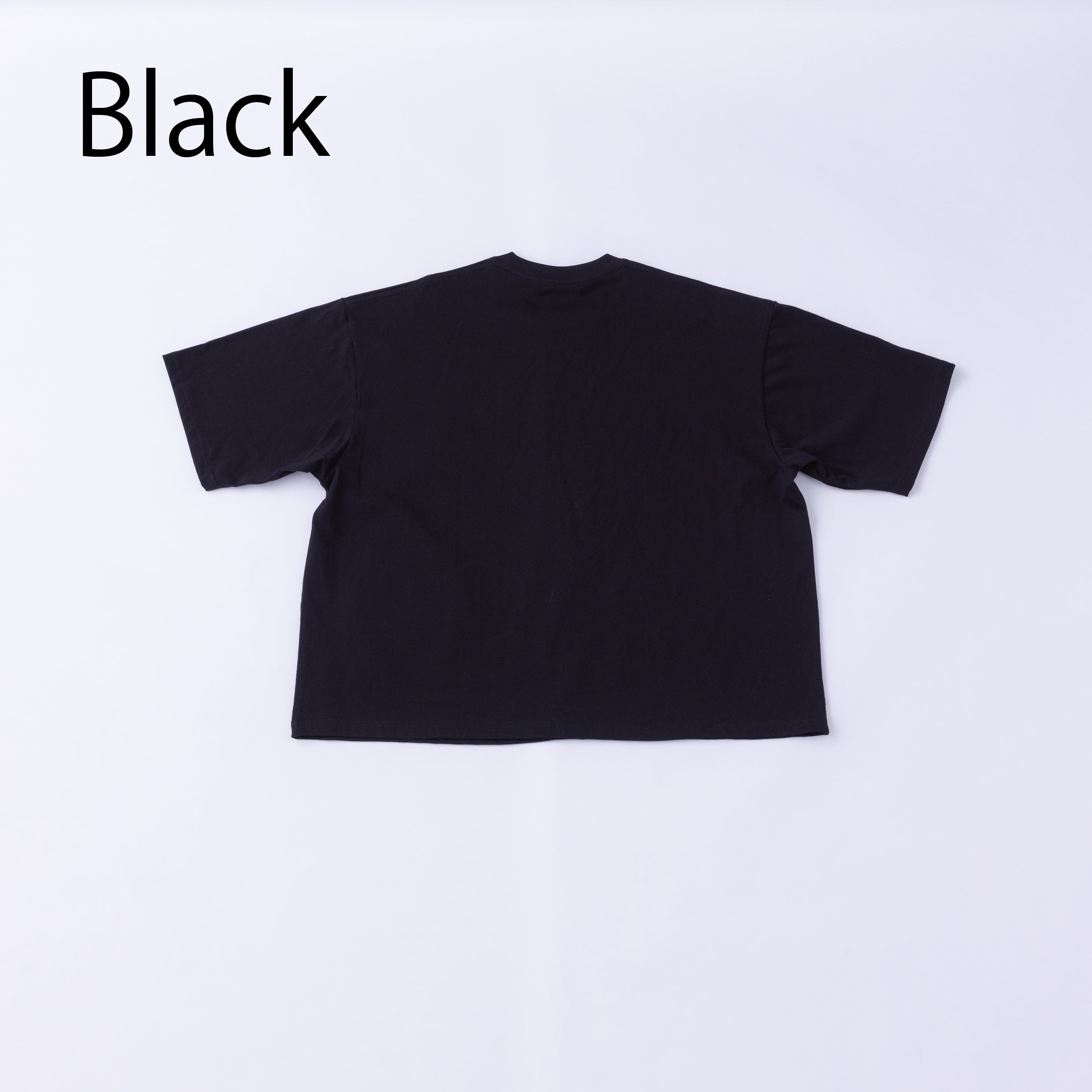 nt23-002A/little T