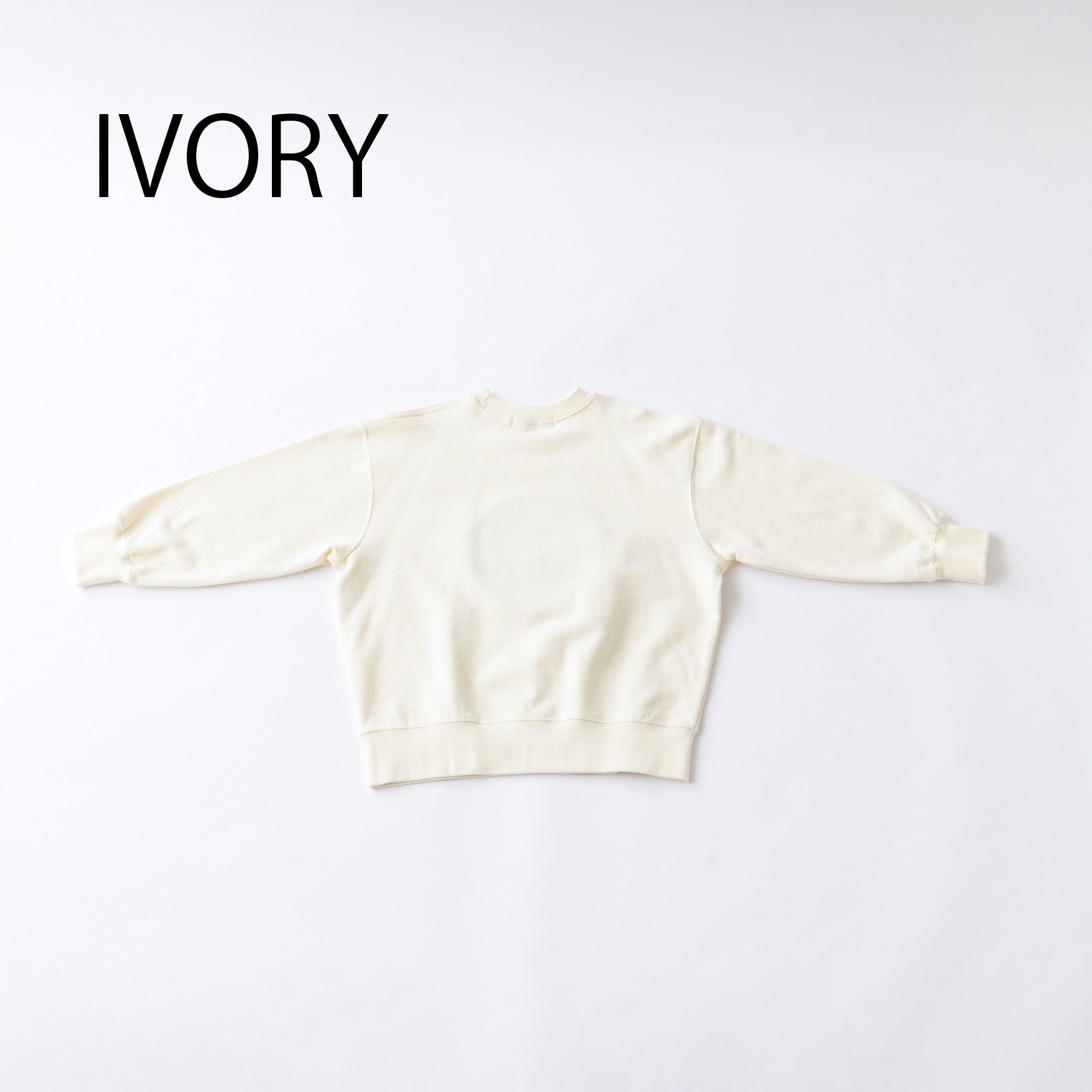 nt24-002-08/NF ワッペン