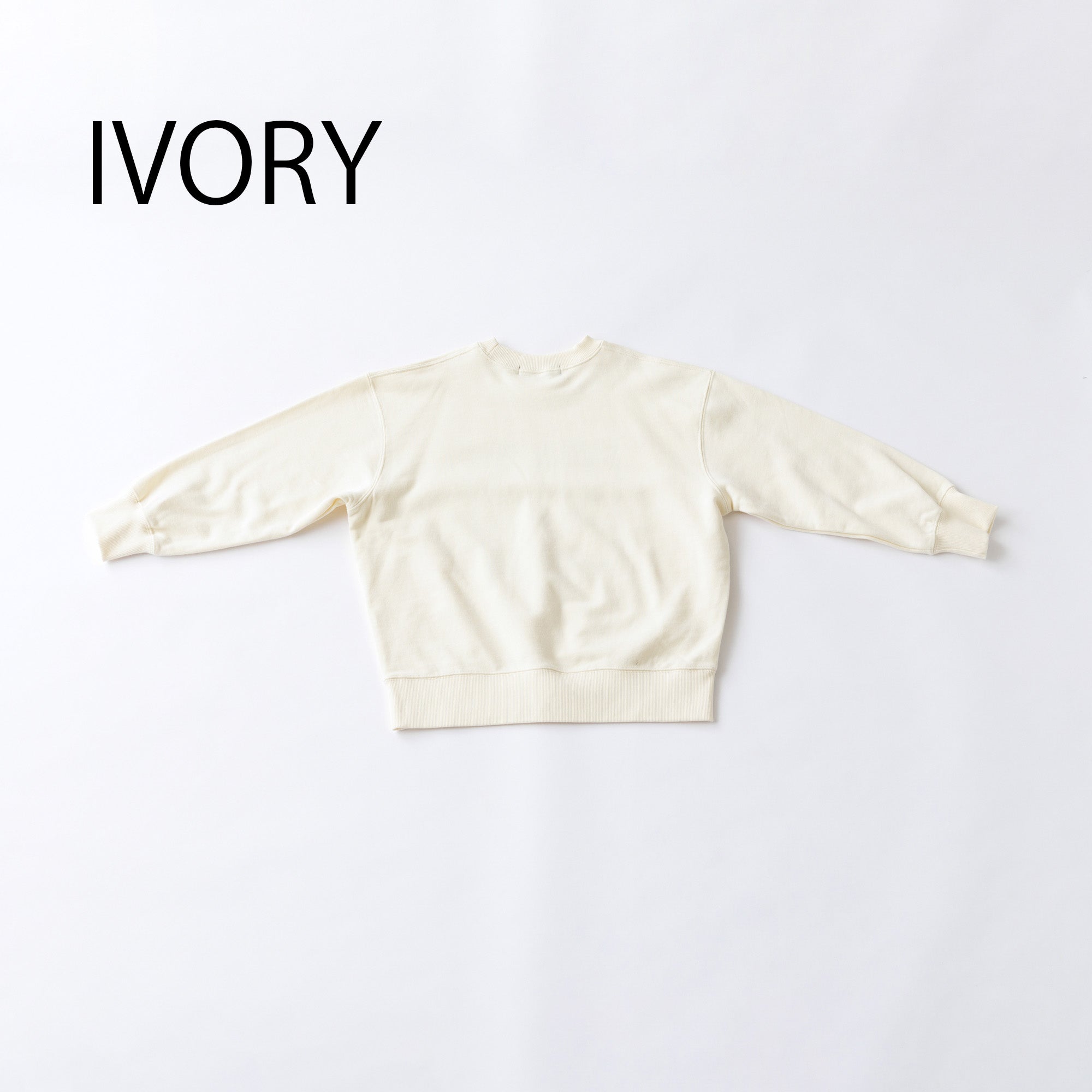 nt24-002-10A/NNFM ボックス ロゴ