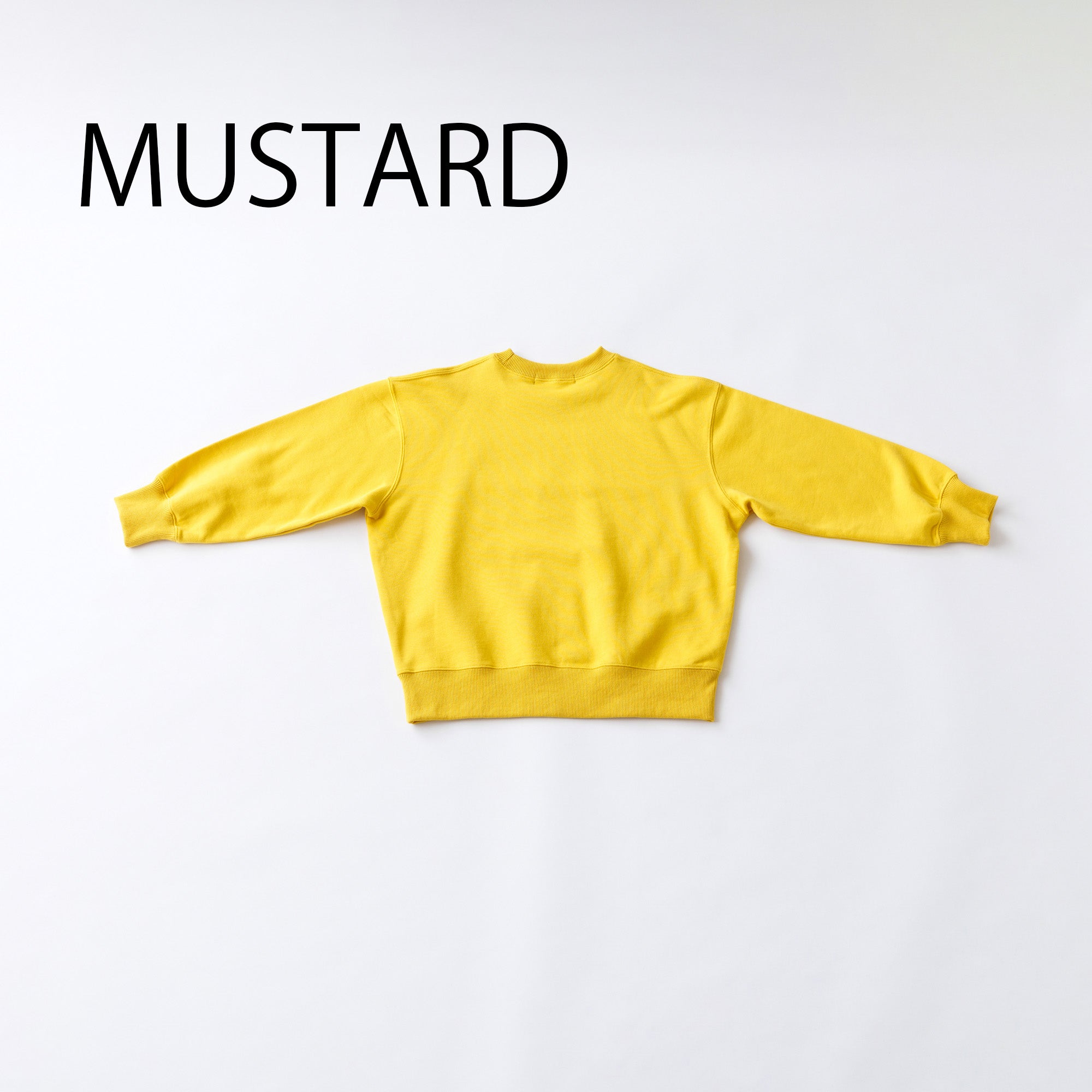 nt24-002-10A/NNFM ボックス ロゴ