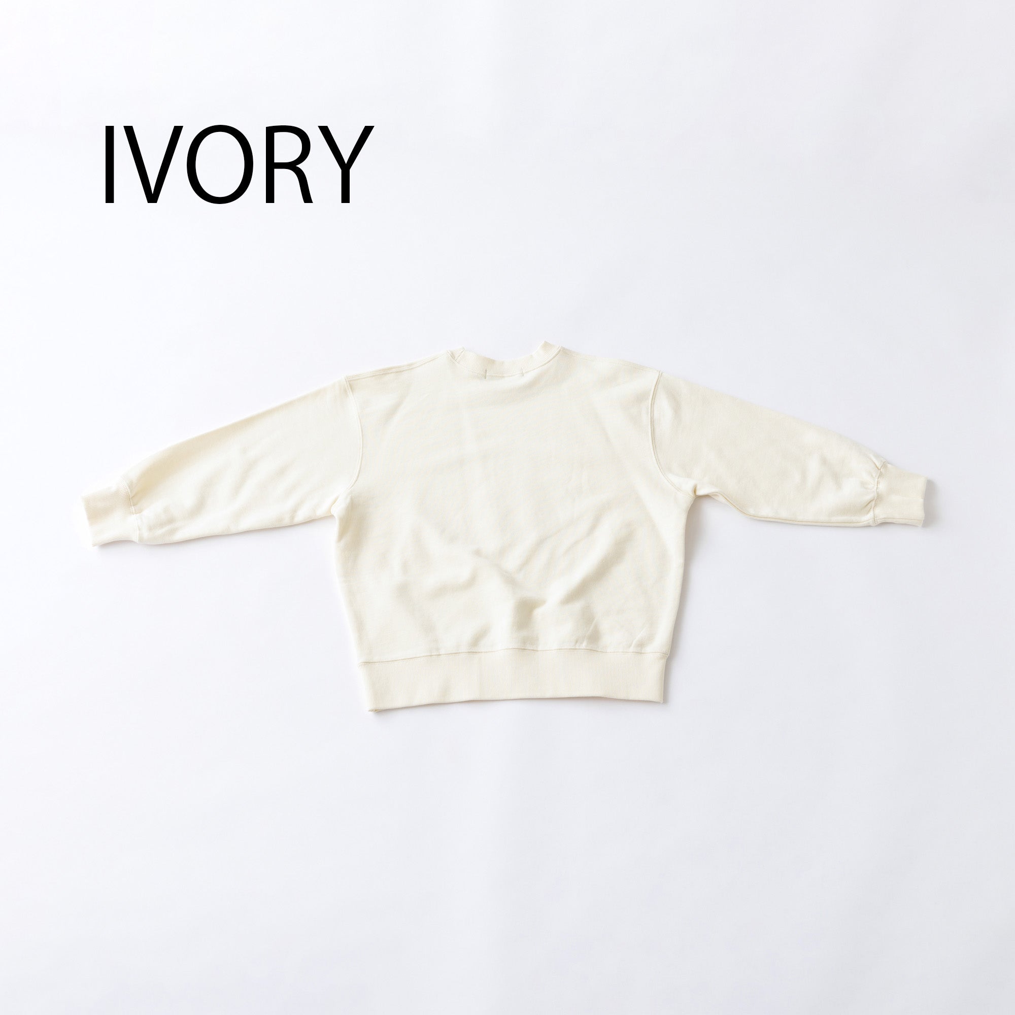 nt24-002-13A/inuinu ロゴプリント